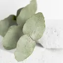 Foto 4.webp